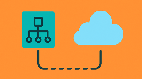 Cisco Certified Network Administrator: LAN WAN