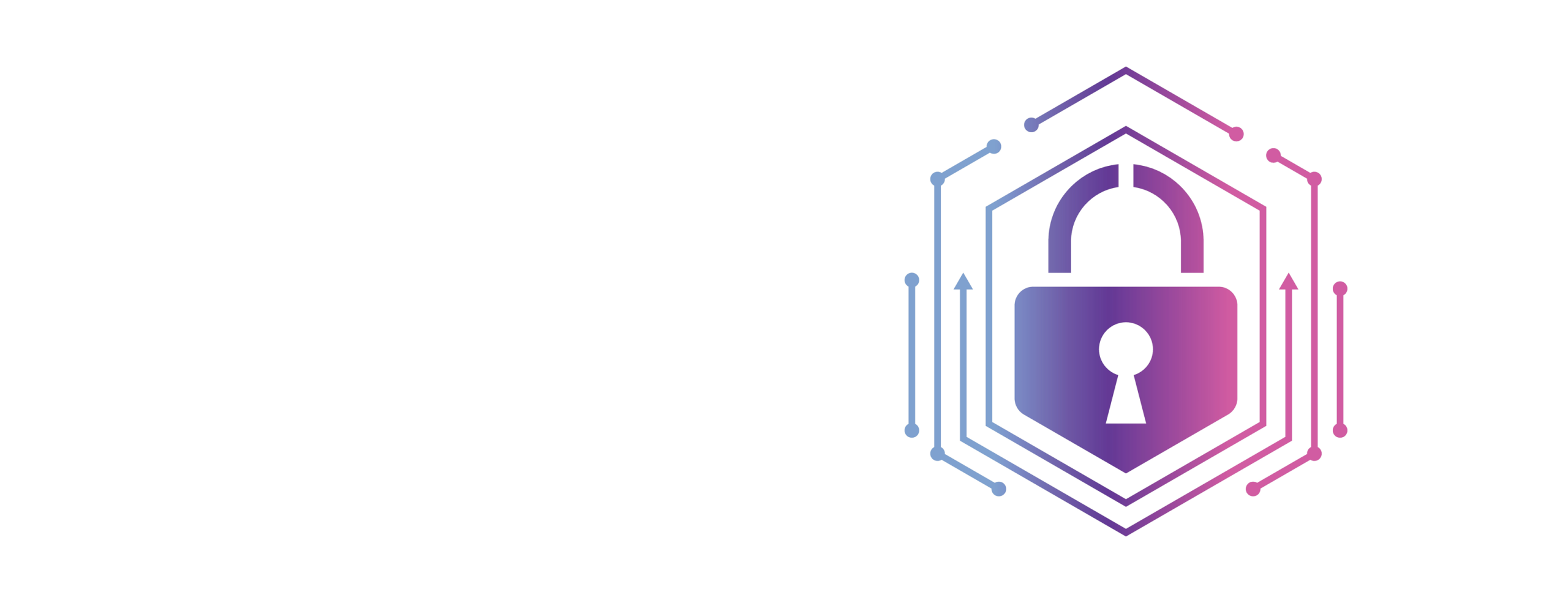 Protección Integral y Seguridad Informática Para Tu Infraestructura